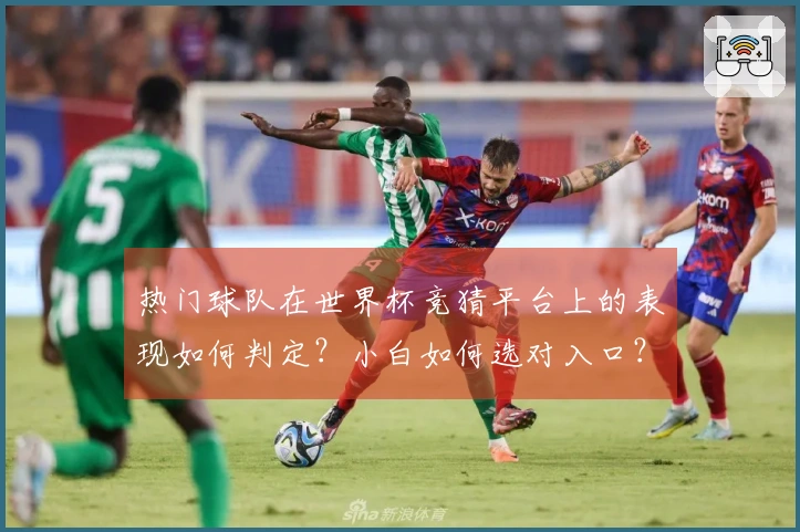 热门球队在世界杯竞猜平台上的表现如何判定？小白如何选对入口？