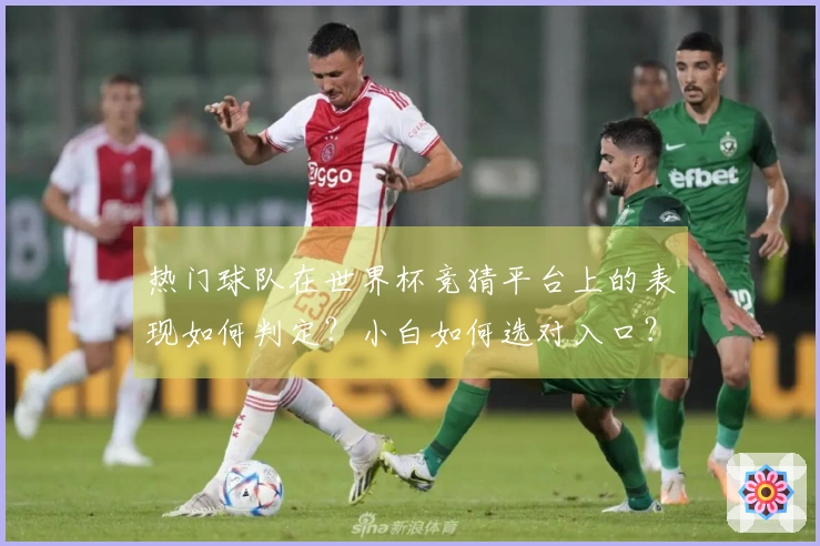 热门球队在世界杯竞猜平台上的表现如何判定？小白如何选对入口？