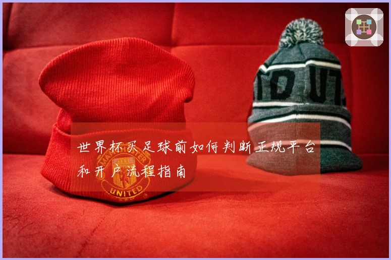 世界杯买足球前如何判断正规平台和开户流程指南